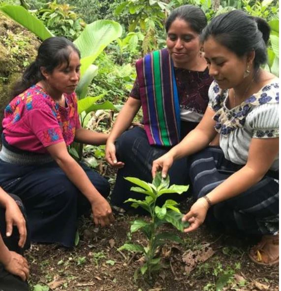 What is Ethically Sourced Coffee?